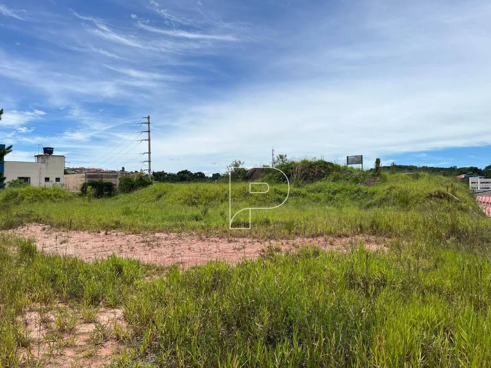 Terreno, 4622 m² - Foto 14