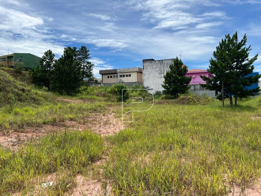 Terreno, 4622 m² - Foto 8