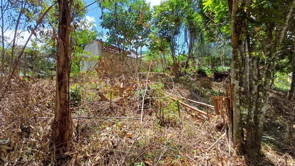 Loteamento e Condomínio, 1100 m² - Foto 3