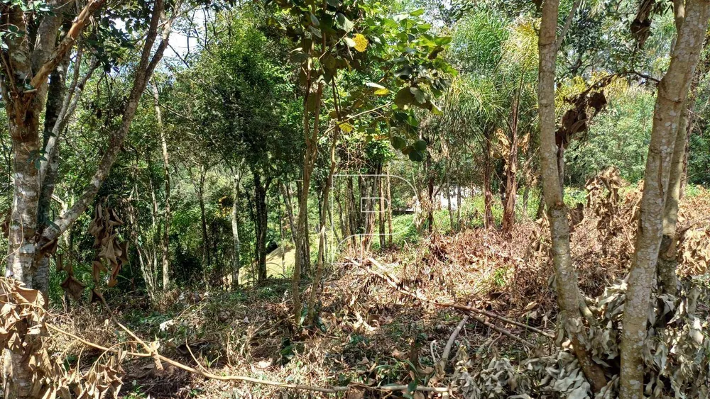 Loteamento e Condomínio, 1100 m² - Foto 1