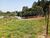 Terreno, 250 m² - Foto 3