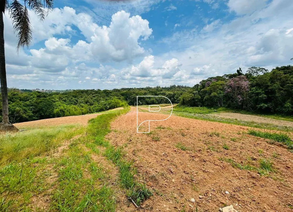 Terreno, 5 hectares - Foto 6
