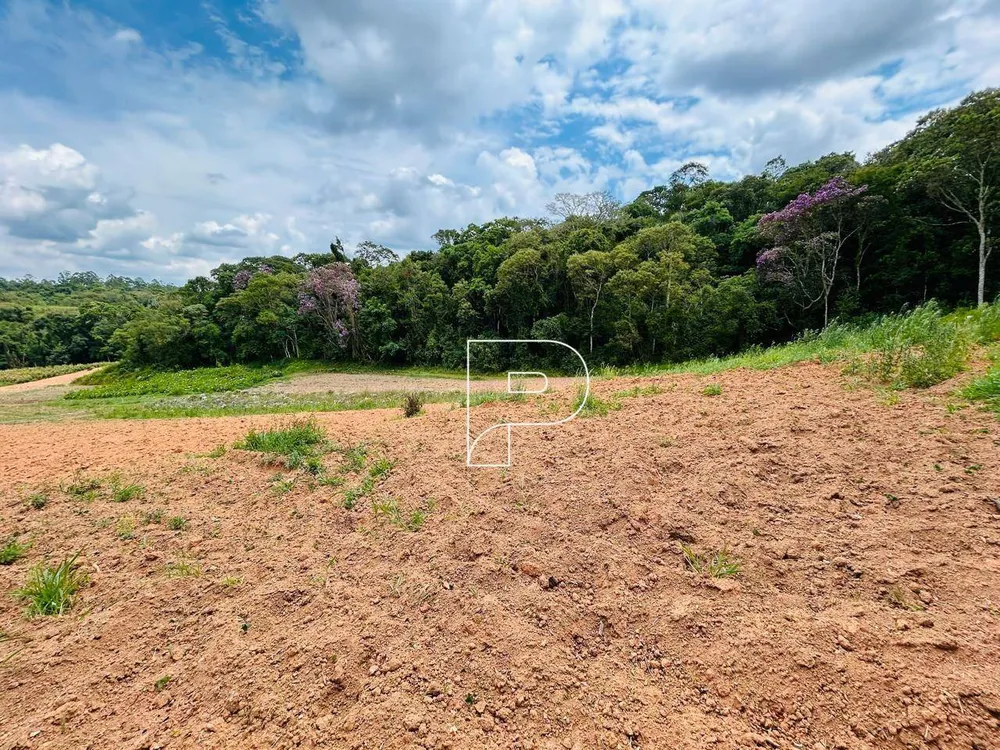 Terreno, 5 hectares - Foto 1