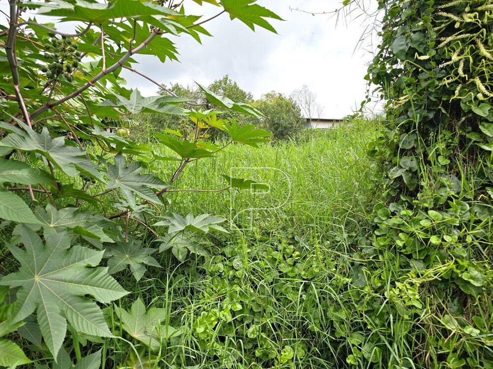 Loteamento e Condomínio à venda, 1680M2 - Foto 2