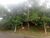 Loteamento e Condomínio, 300 m² - Foto 1