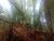 Loteamento e Condomínio, 300 m² - Foto 3