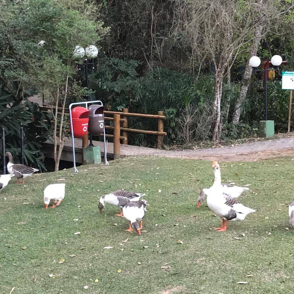 Casa de Condomínio à venda e aluguel com 2 quartos, 180m² - Foto 28