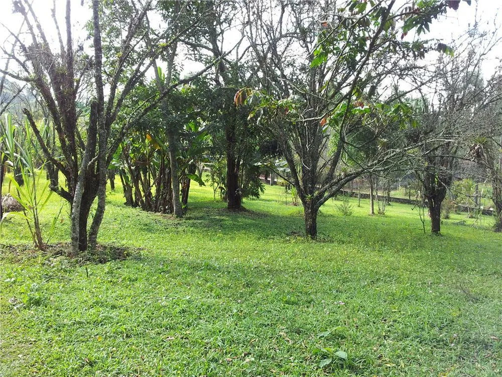 Terreno, 5 hectares - Foto 8