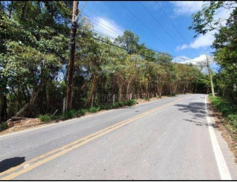 Terreno, 2 hectares - Foto 12