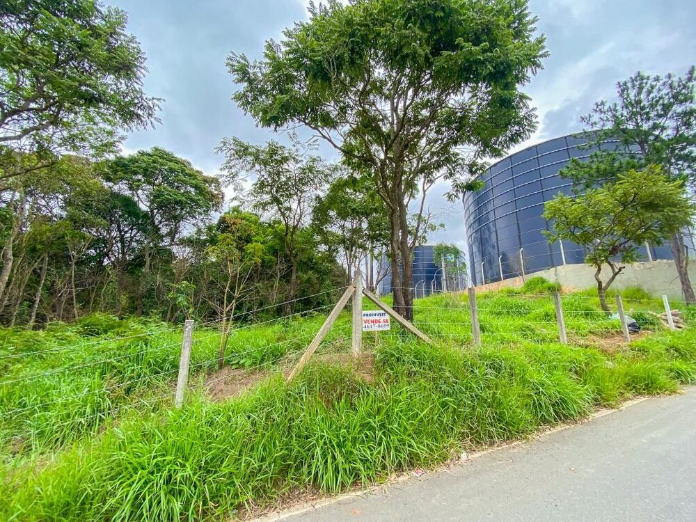 Terreno, 2 hectares - Foto 2