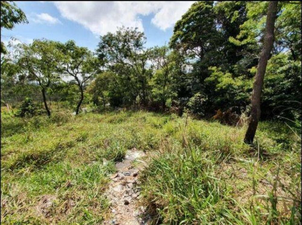 Terreno, 2 hectares - Foto 8