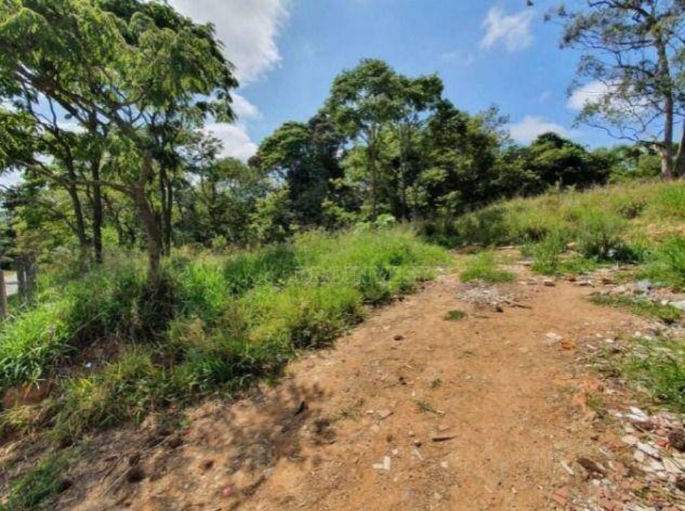 Terreno, 2 hectares - Foto 10