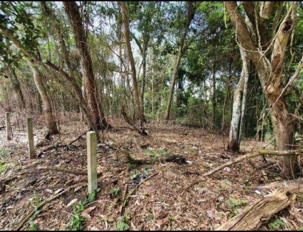 Terreno, 2 hectares - Foto 7