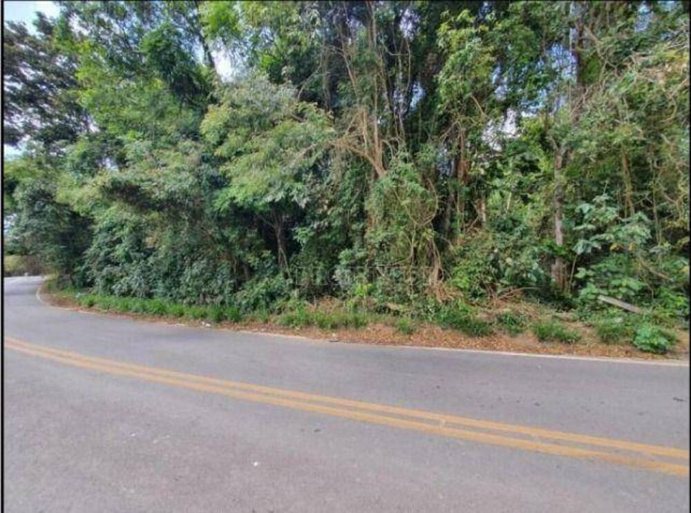Terreno, 2 hectares - Foto 6