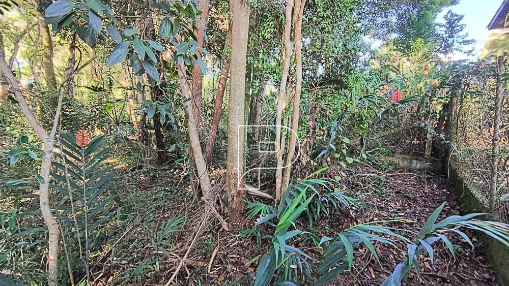 Loteamento e Condomínio, 1667 m² - Foto 5