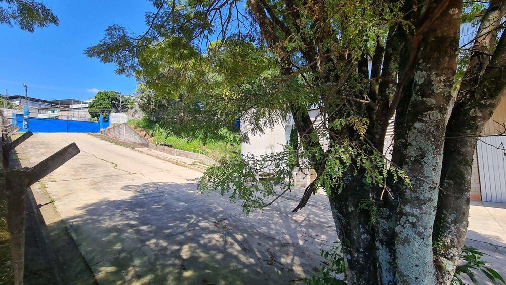 Terreno, 5246 m² - Foto 4