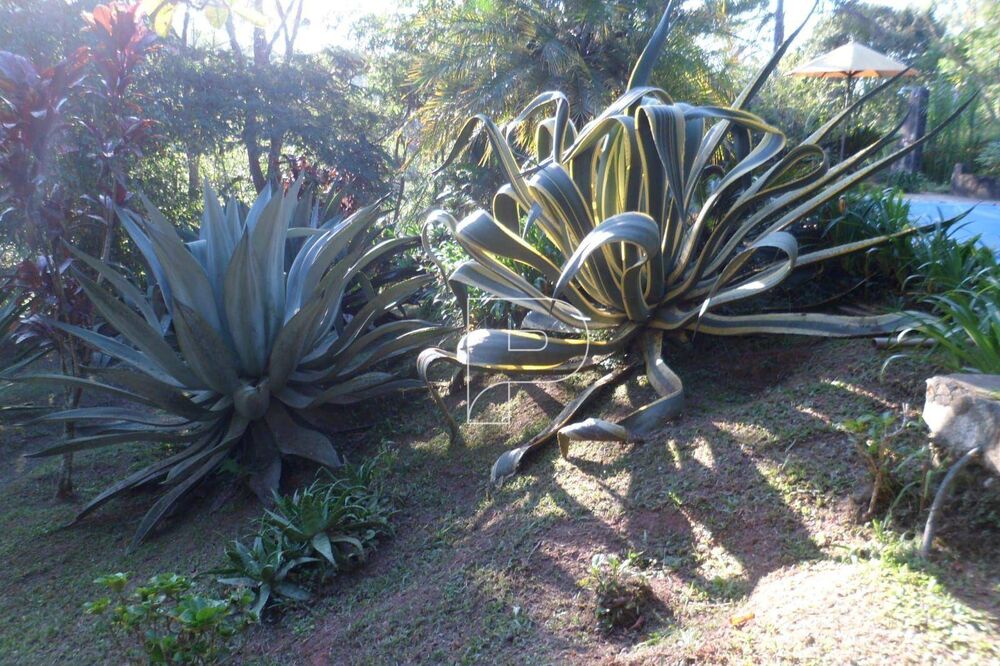 Chácara, 3 quartos, 8500 m² - Foto 11