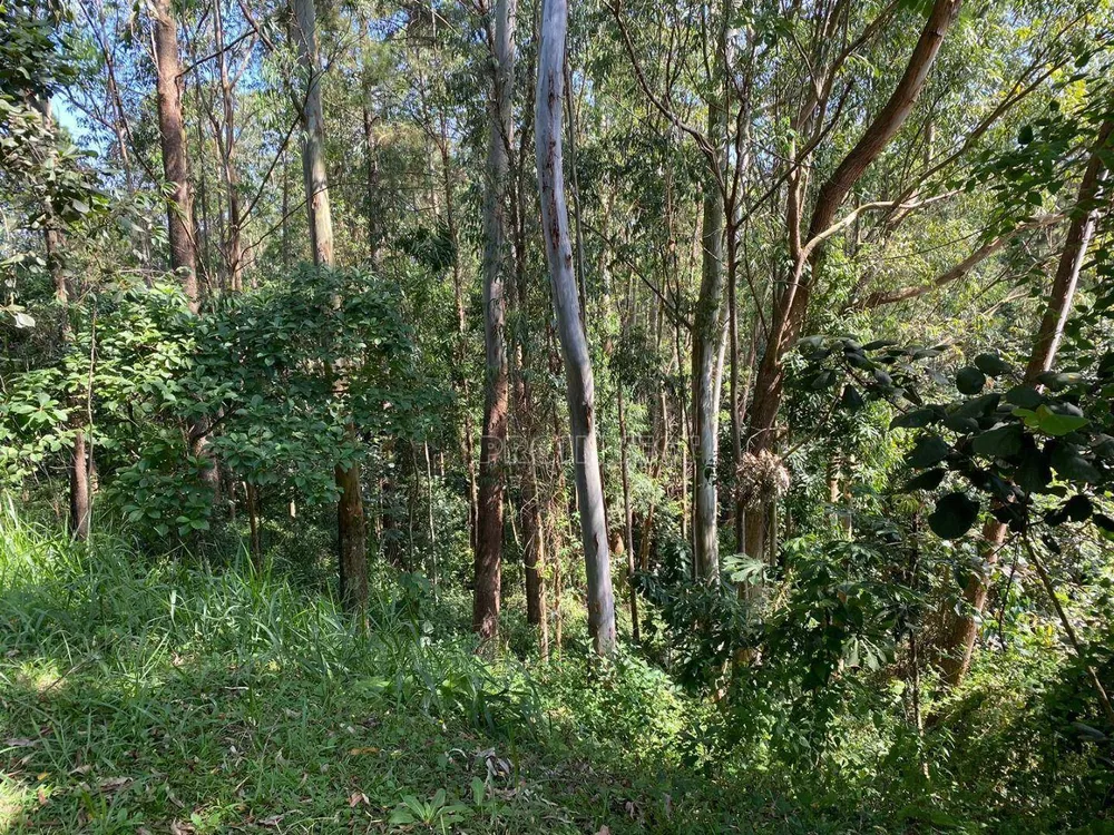 Loteamento e Condomínio, 1137 m² - Foto 1