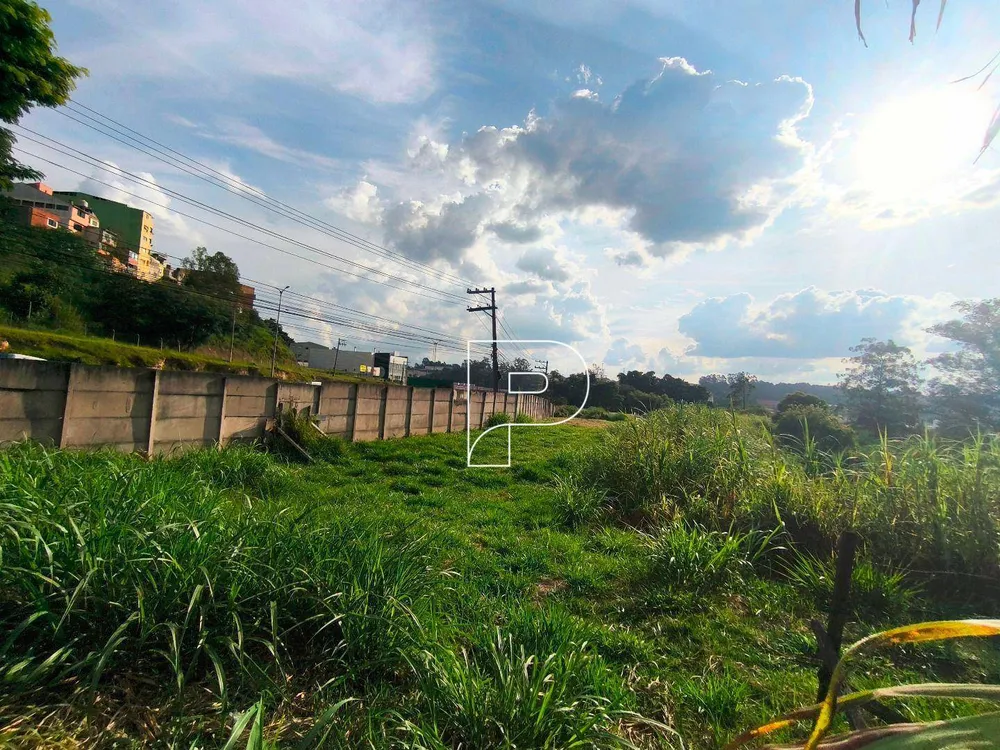 Terreno, 5 hectares - Foto 12