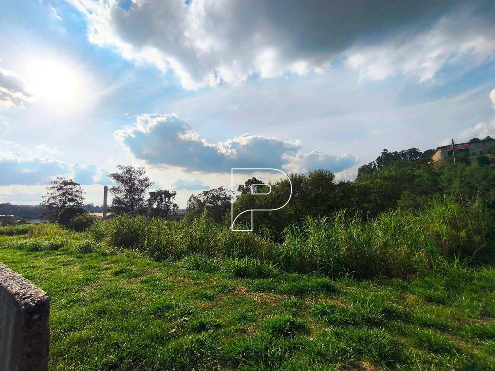 Terreno, 5 hectares - Foto 8
