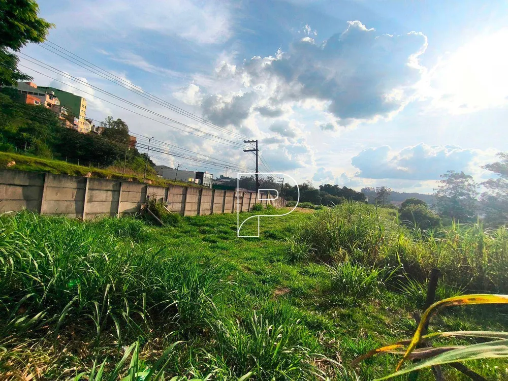 Terreno, 5 hectares - Foto 11
