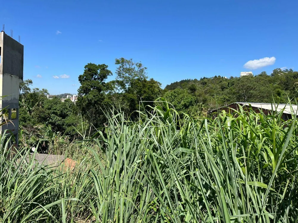 Terreno, 665 m² - Foto 4