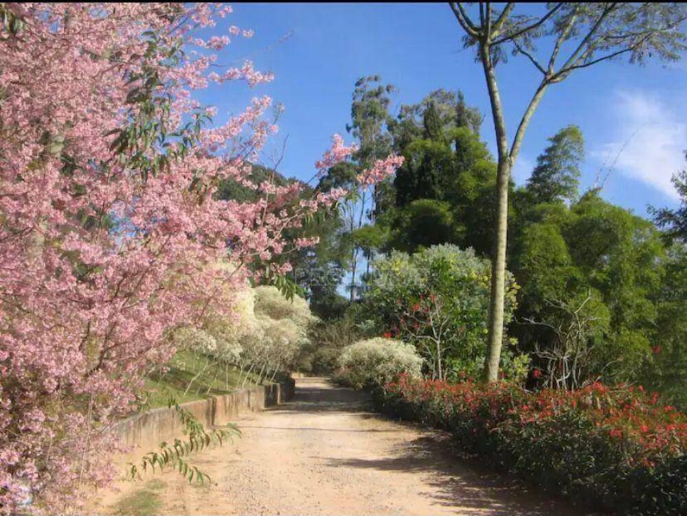 Casa de Condomínio, 4 quartos - Foto 16