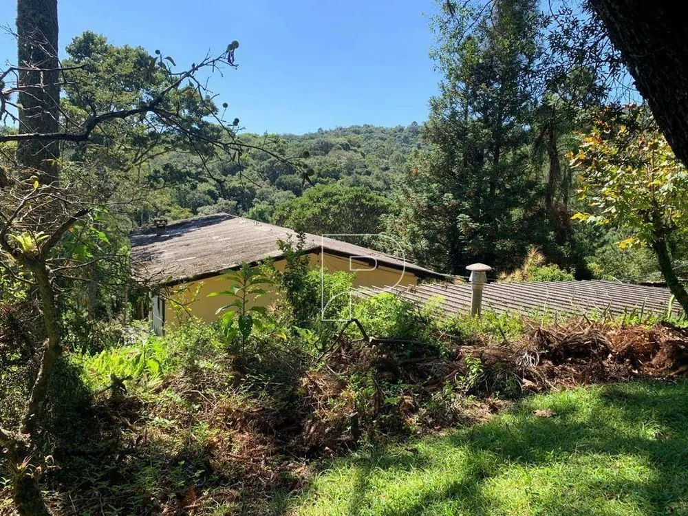 Sítio, 3 quartos, 3 hectares - Foto 4