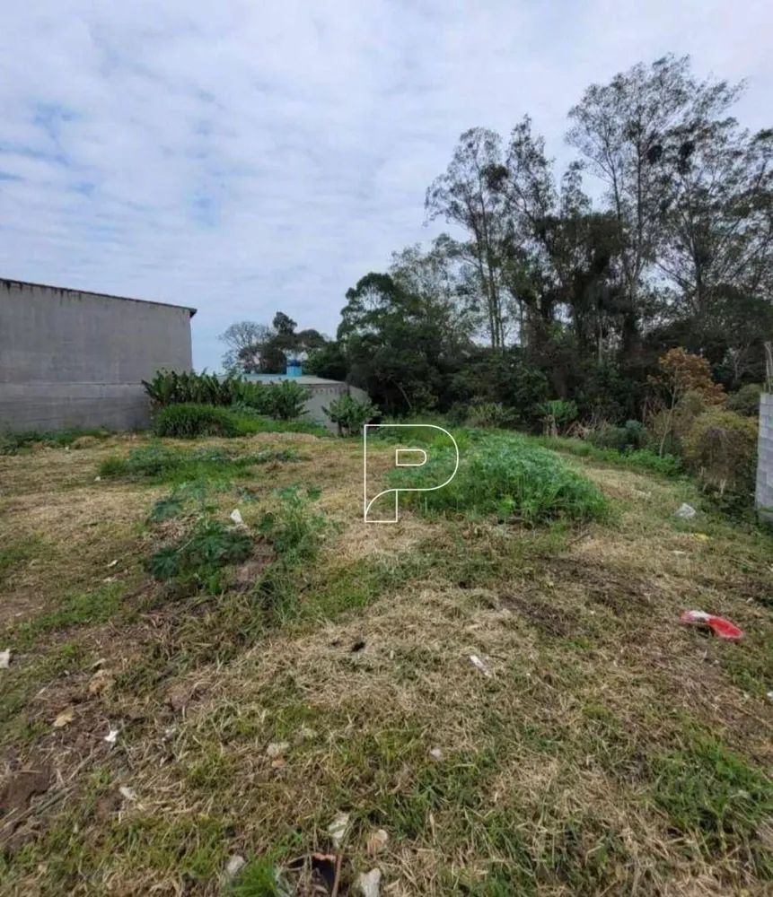 Terreno, 1530 m² - Foto 6