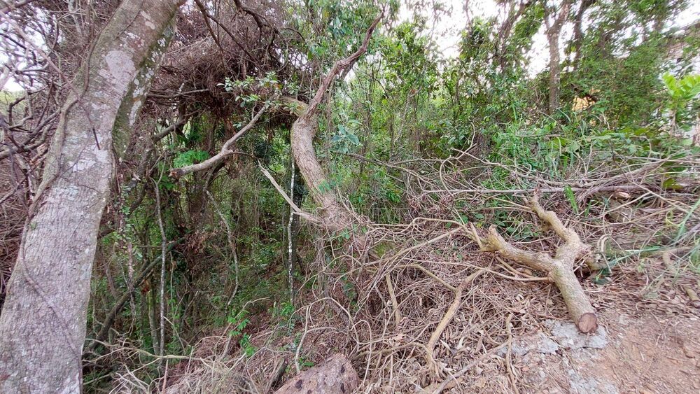 Loteamento e Condomínio, 300 m² - Foto 7