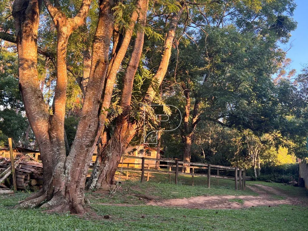 Sítio, 3 quartos, 1 hectares - Foto 12