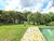 Terreno, 4 hectares - Foto 4