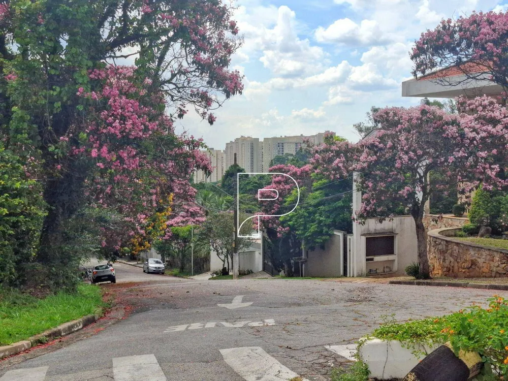 Casa, 4 quartos, 403 m² - Foto 9