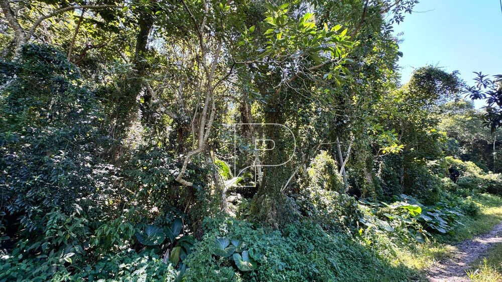 Loteamento e Condomínio, 513 m² - Foto 7