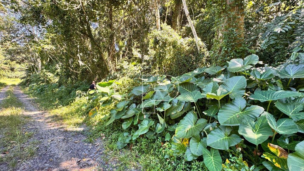 Loteamento e Condomínio, 513 m² - Foto 4