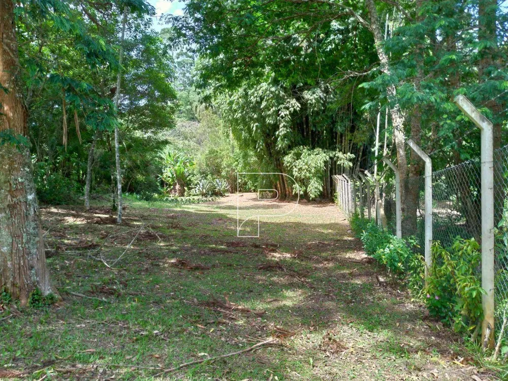 Terreno, 2170 m² - Foto 3