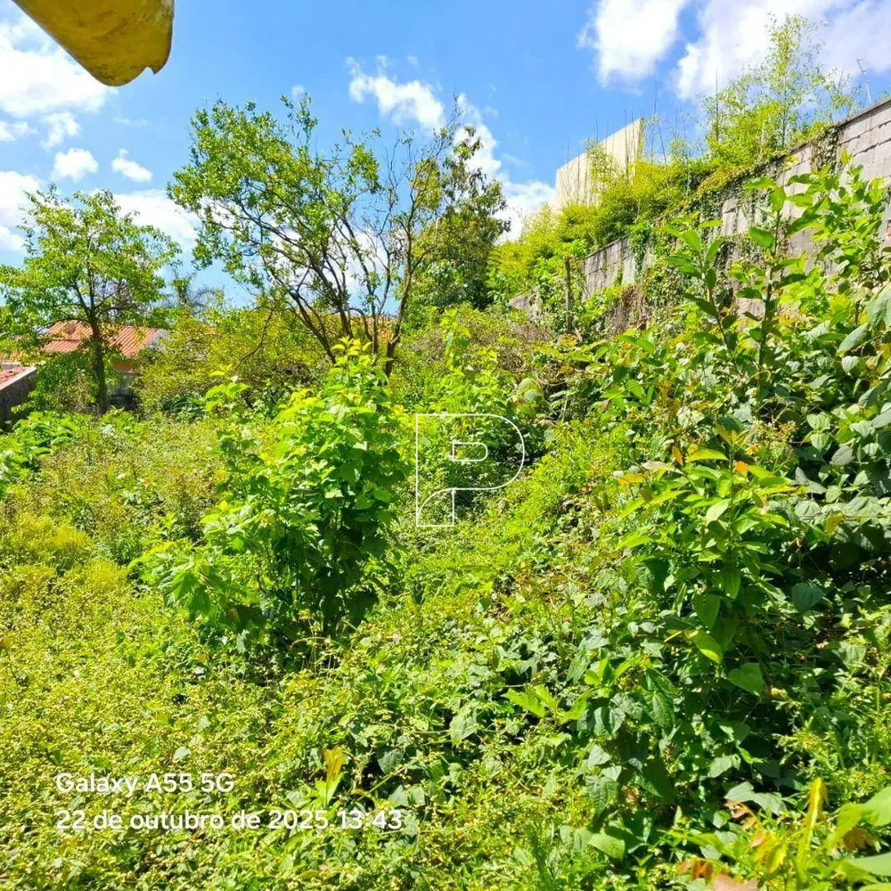 Terreno, 500 m² - Foto 5
