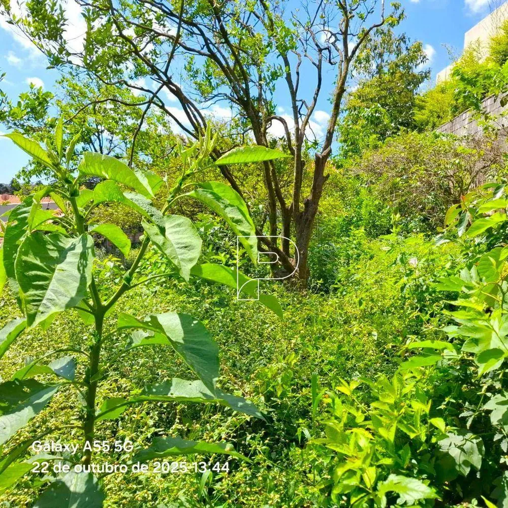 Terreno, 500 m² - Foto 6