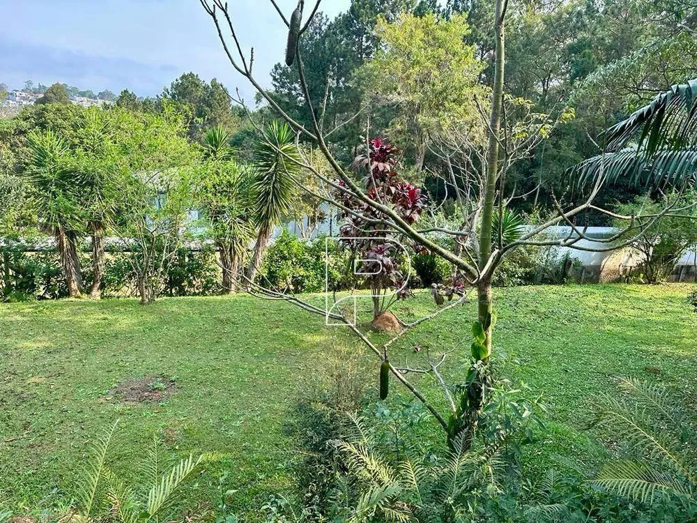 Chácara, 4 quartos, 1700 m² - Foto 6