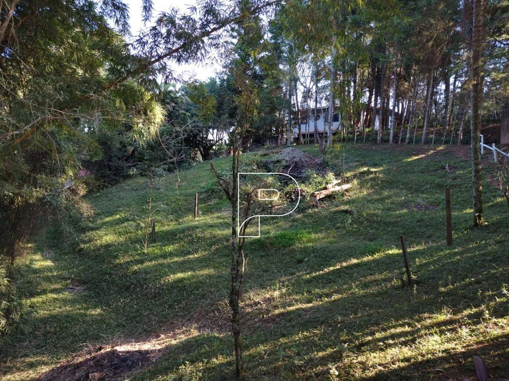 Terreno, 7158 m² - Foto 6