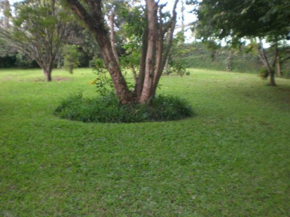 Terreno, 6657 m² - Foto 1