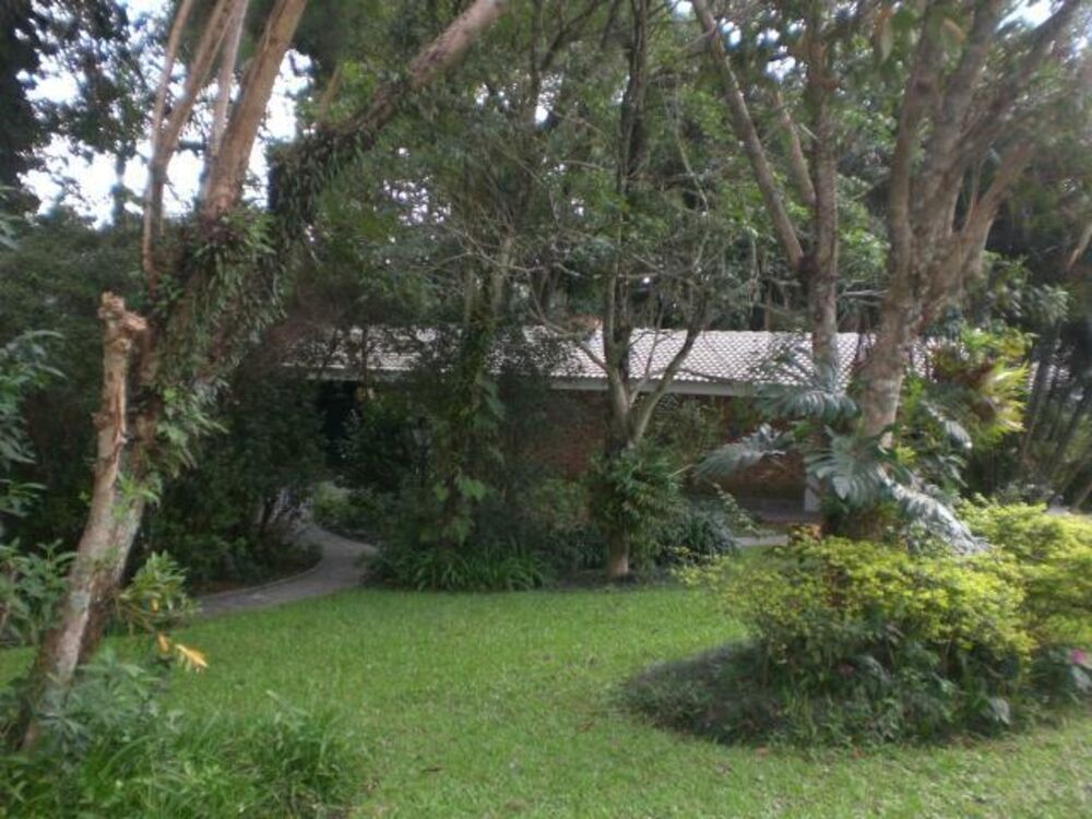 Terreno, 6657 m² - Foto 4