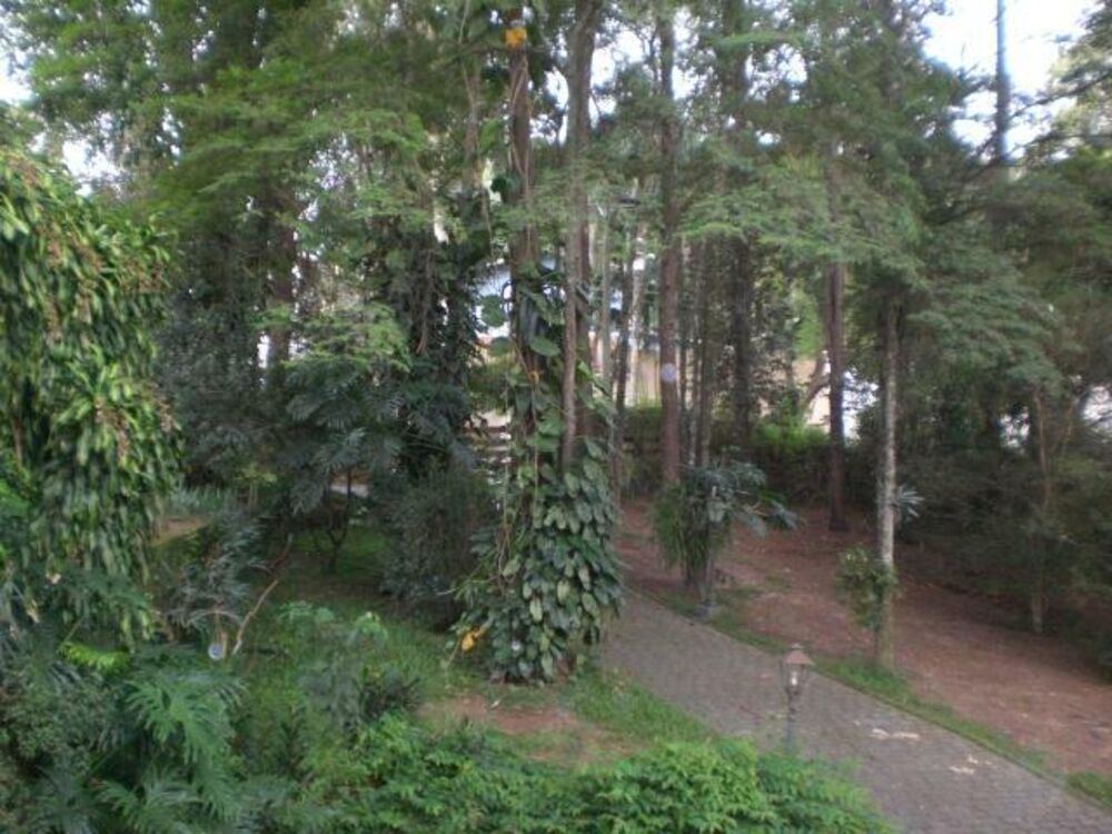 Terreno, 6657 m² - Foto 3