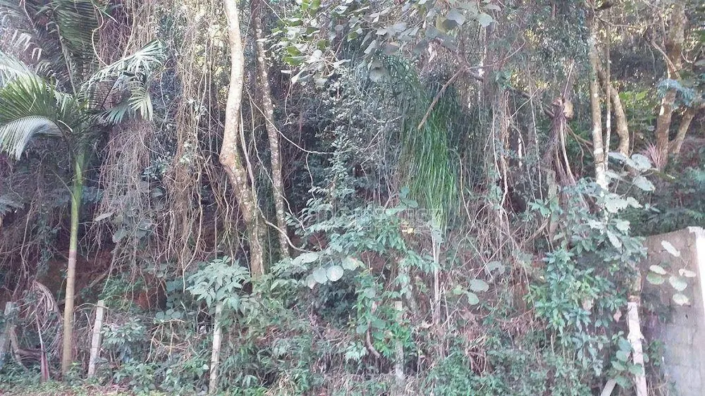 Loteamento e Condomínio, 1000 m² - Foto 4