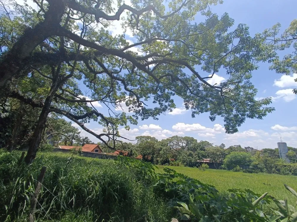 Terreno, 1000 m² - Foto 6