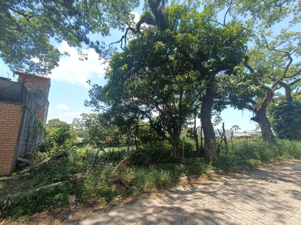 Terreno, 1000 m² - Foto 3