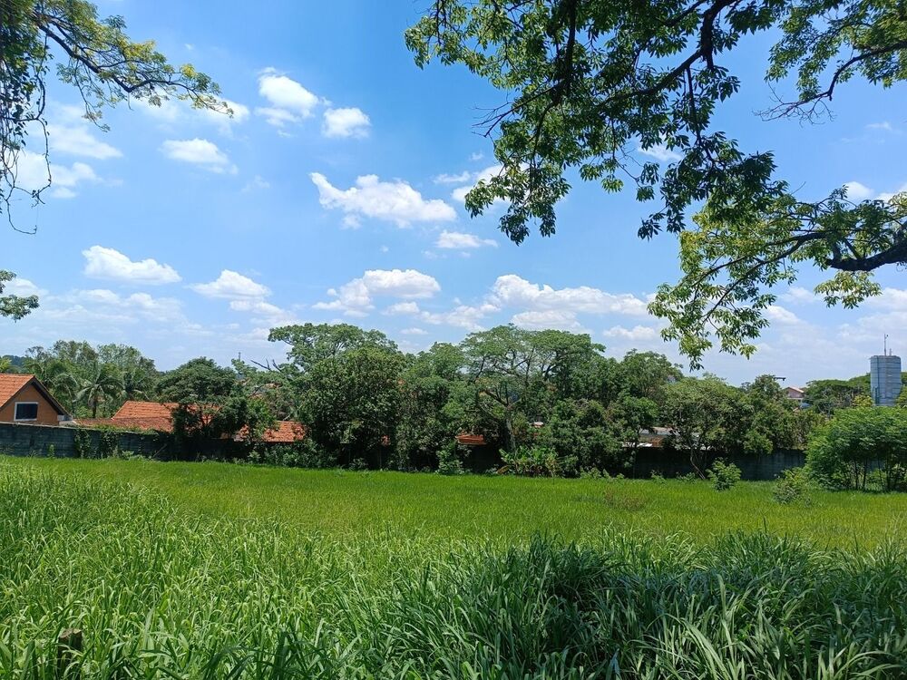 Terreno, 1000 m² - Foto 5
