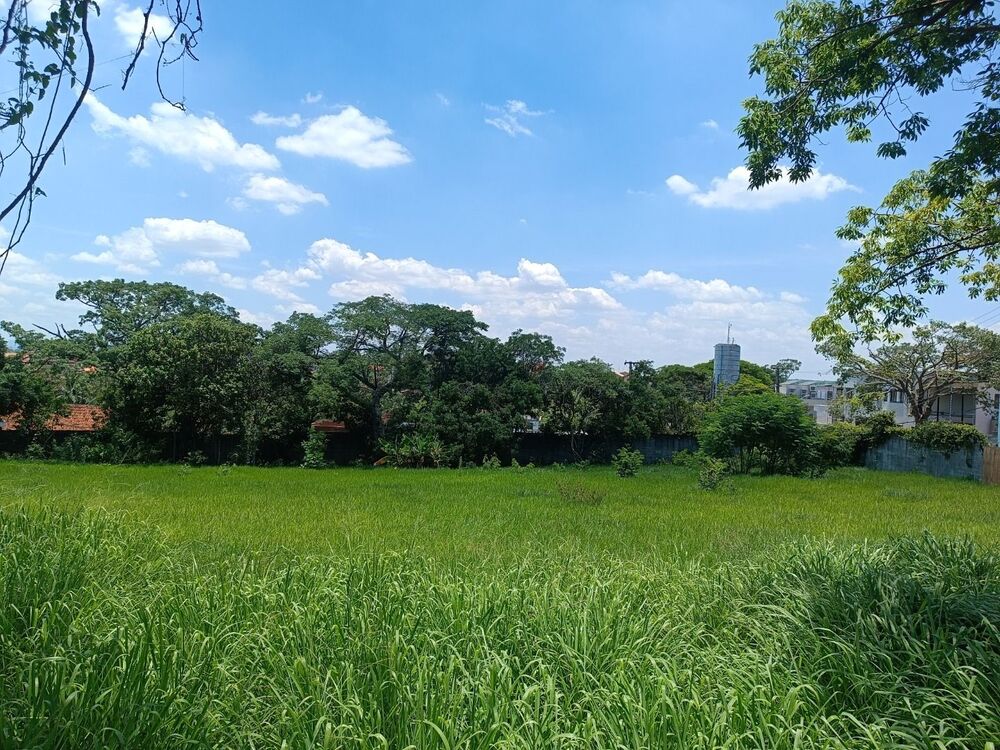 Terreno, 1000 m² - Foto 4