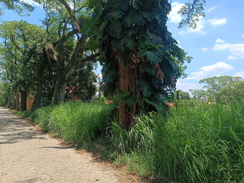 Terreno, 1000 m² - Foto 19