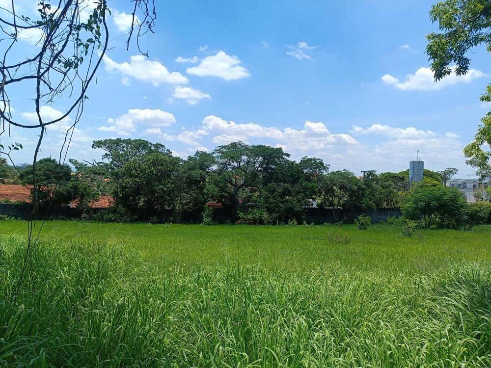 Terreno, 1000 m² - Foto 2